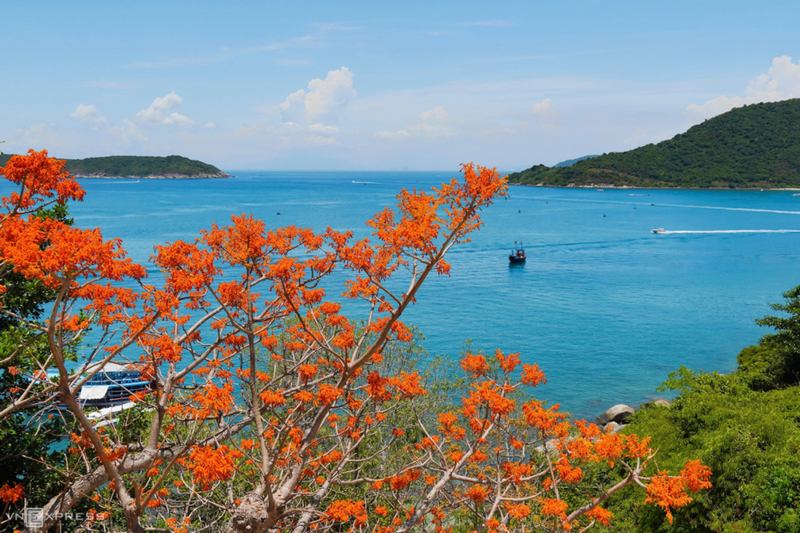 Cù Lao Chàm, vẻ đẹp nguyên sơ giữa biển trời